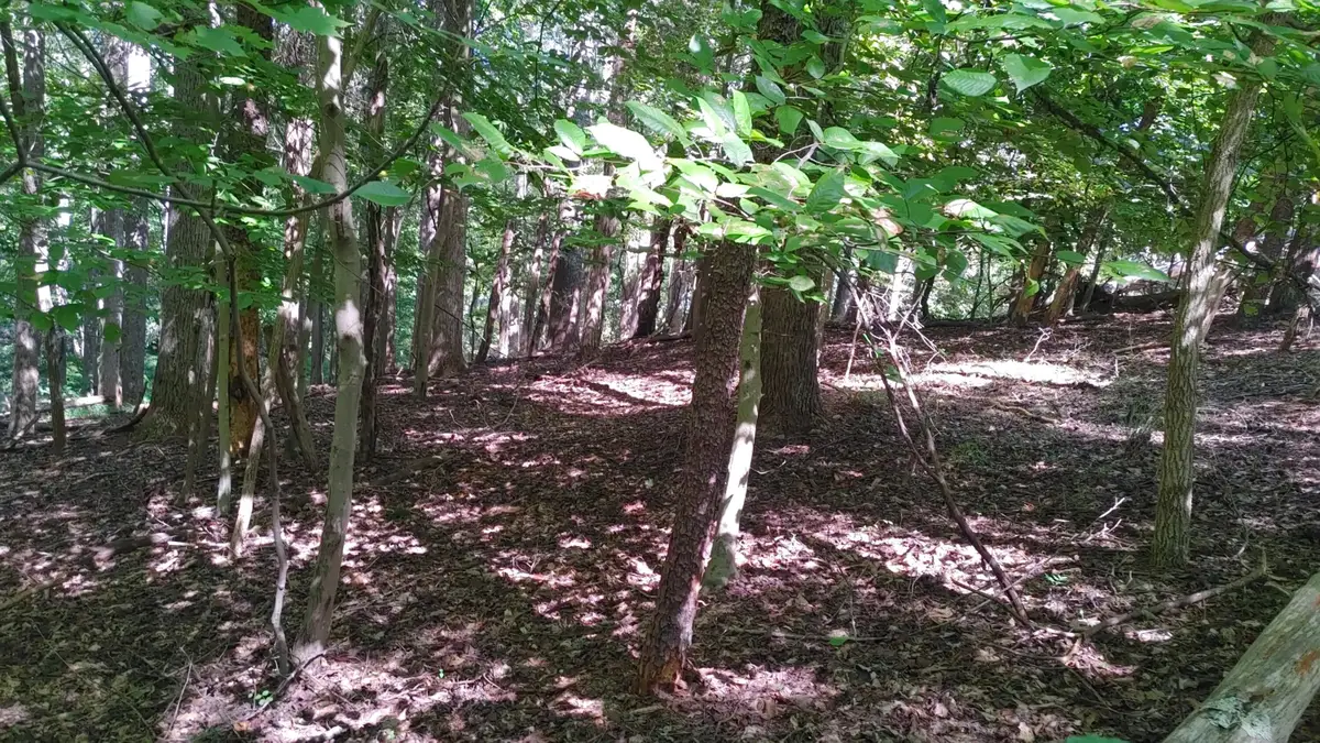 Lot 53 Ridgeway Ct, Moneta, VA 24121 - #1