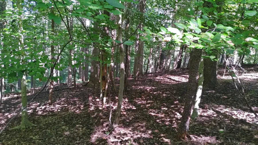 Lot 53 Ridgeway Ct, Moneta, VA 24121 - #2