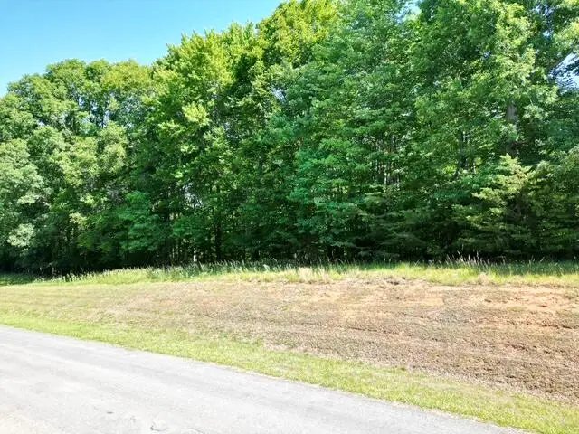 00 Sassafras Ct, Moneta, VA 24121 - #2