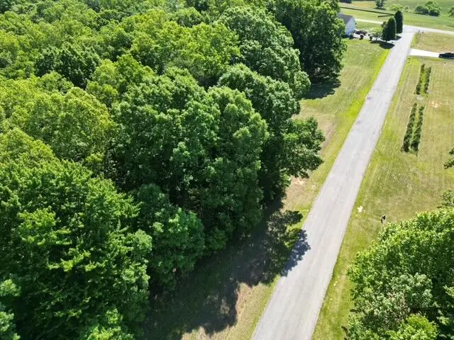 00 Sassafras Ct, Moneta, VA 24121 - #3