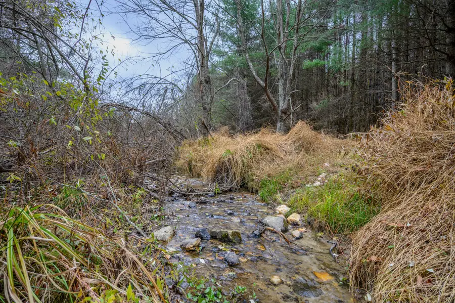3200 Stonewall Rd Ne, Pilot, VA 24138 - #3