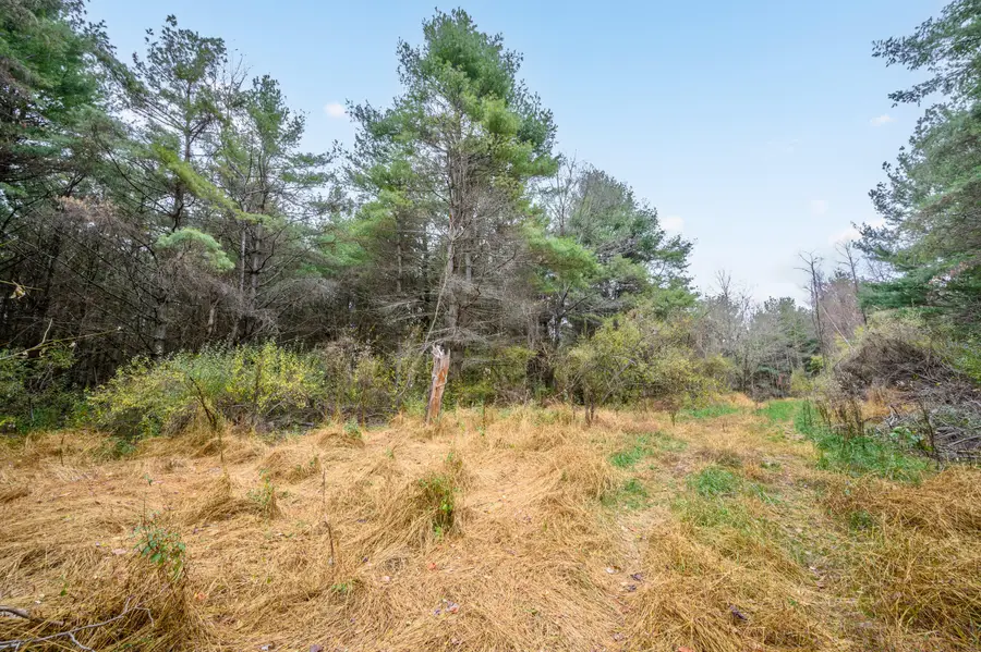 595 Wild Cherry Rd Ne, Pilot, VA 24138 - #3