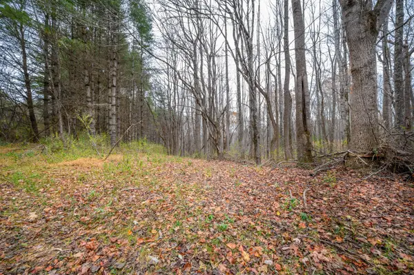 621 Wild Cherry Rd Ne, Pilot, VA 24138