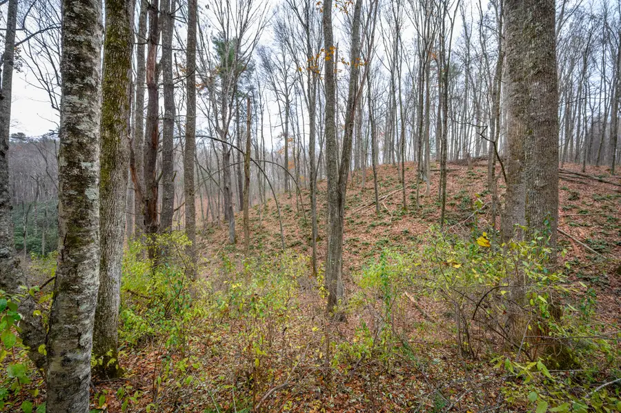 621 Wild Cherry Rd Ne, Pilot, VA 24138 - #3