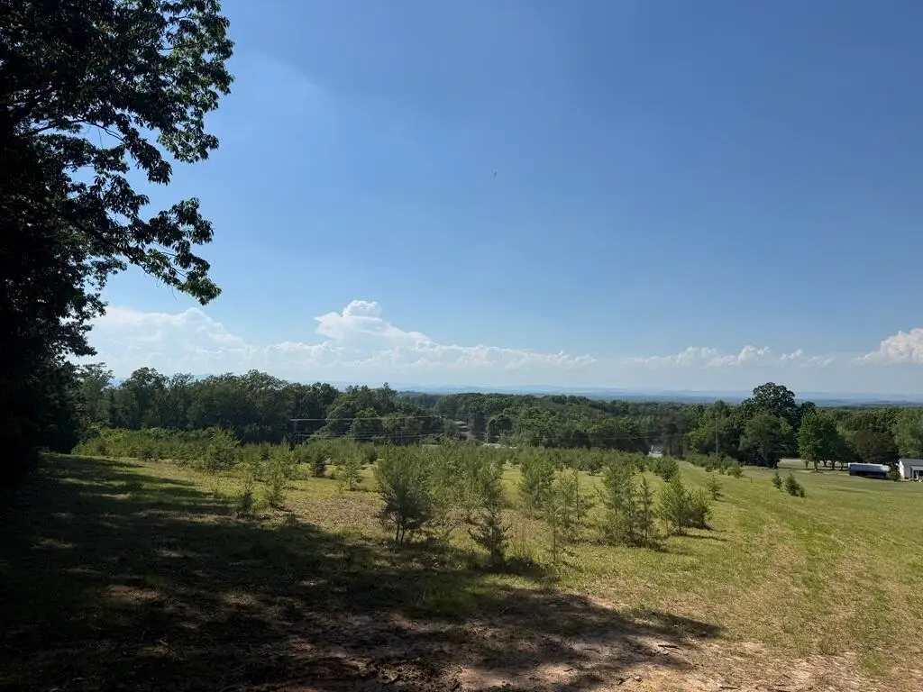 17007 A L Philpott Hwy, Martinsville, VA 24112 - #1