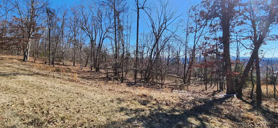 Lot 47 Summit Dr, Rocky Mount, VA 24151 - #2