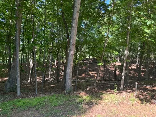 Lot 218A Hunterwood Cir, Penhook, VA 24137 - #2