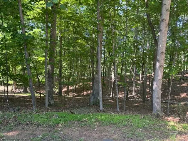 Lot 218A Hunterwood Cir, Penhook, VA 24137 - #3