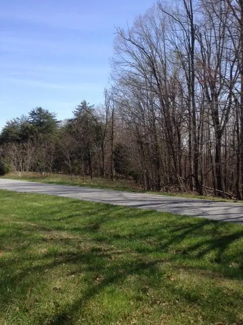 Lot 405 Mountain Shore Dr, Penhook, VA 24137 - #2