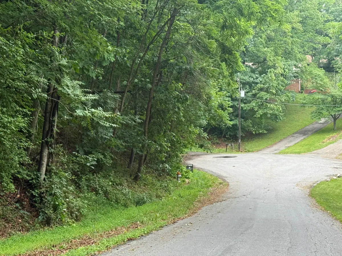 0 Waywood Hill Dr, Vinton, VA 24179 - #1