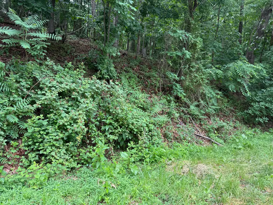 0 Waywood Hill Dr, Vinton, VA 24179 - #3