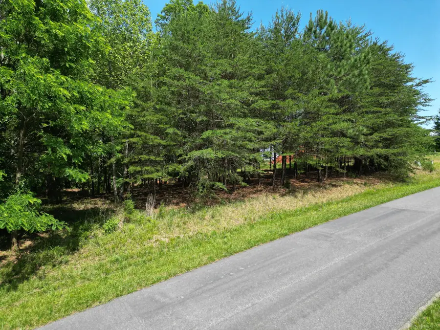 00 Ivy Ln, Union Hall, VA 24176 - #2