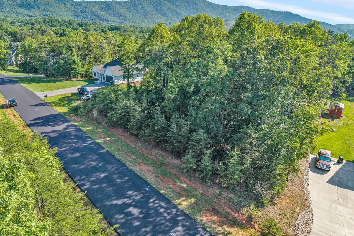43 Thornblade Way, Blue Ridge, VA 24064 - #1