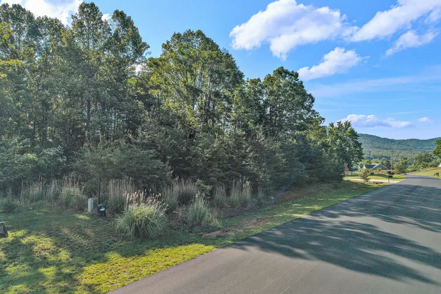 43 Thornblade Way, Blue Ridge, VA 24064 - #3