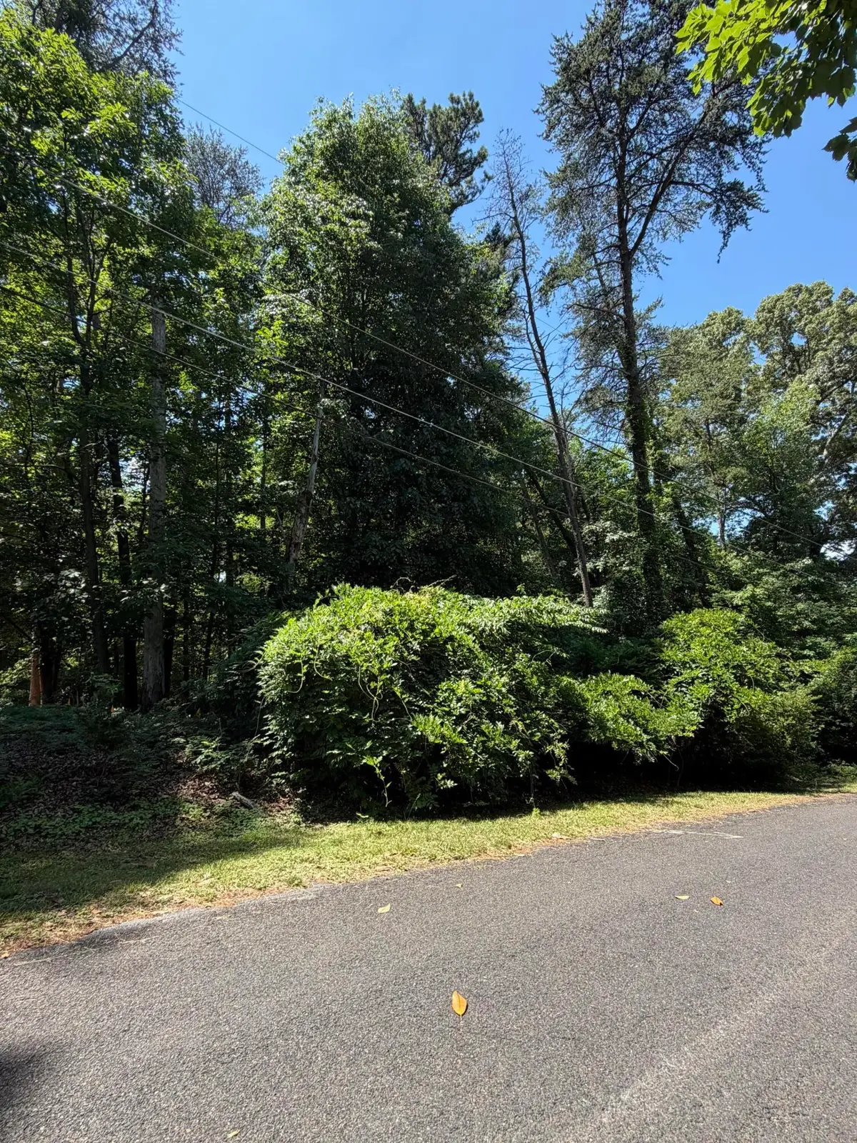 Address Withheld By Seller, Martinsville, VA 24112 - #1