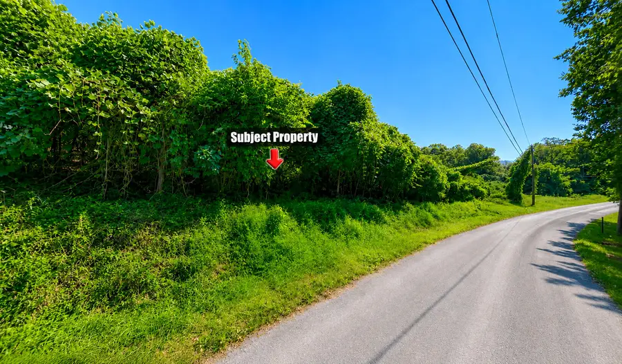 0 Dewey Rd, Montvale, VA 24122 - #2