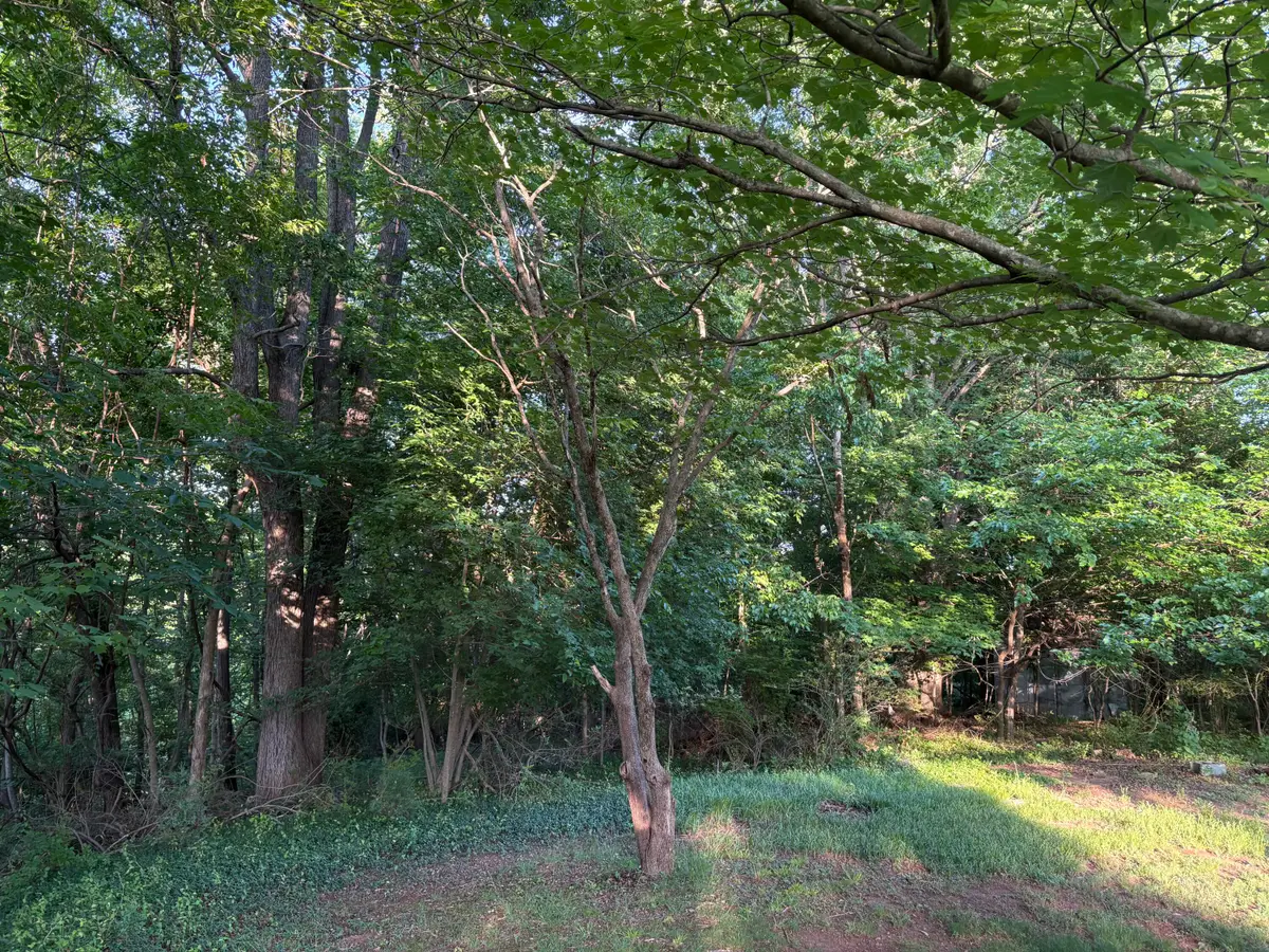 1130 Stephens (lot) St, Martinsville, VA 24112 - #1