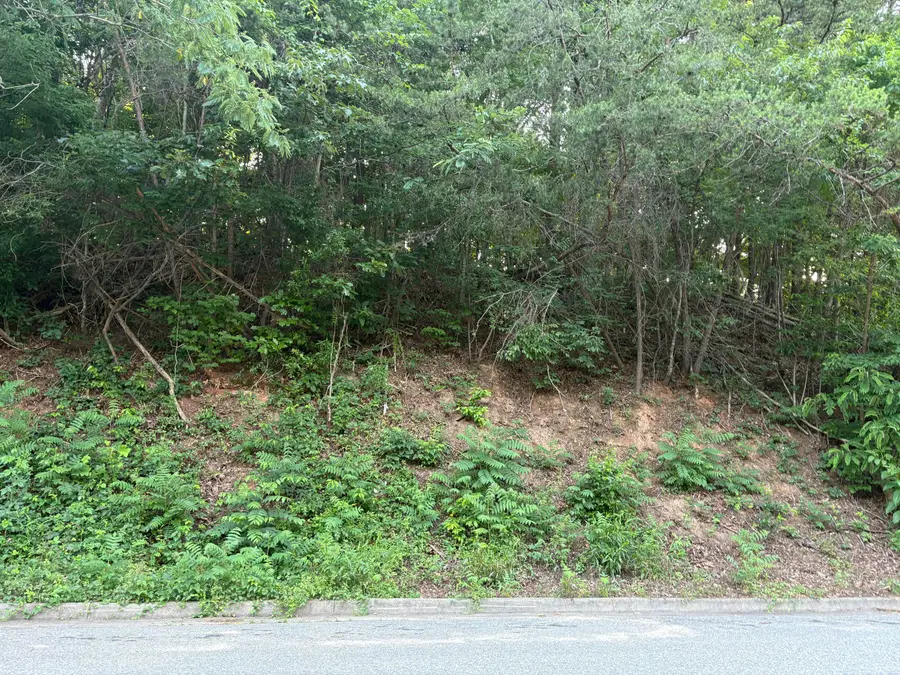 1130 Stephens (lot) St, Martinsville, VA 24112 - #2