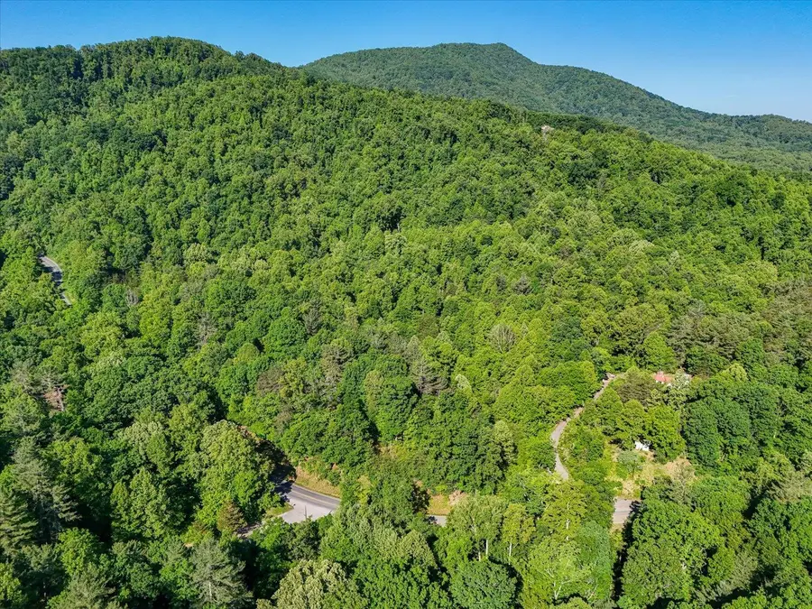 7385 Merriman Rd, Boones Mill, VA 24065 - #3