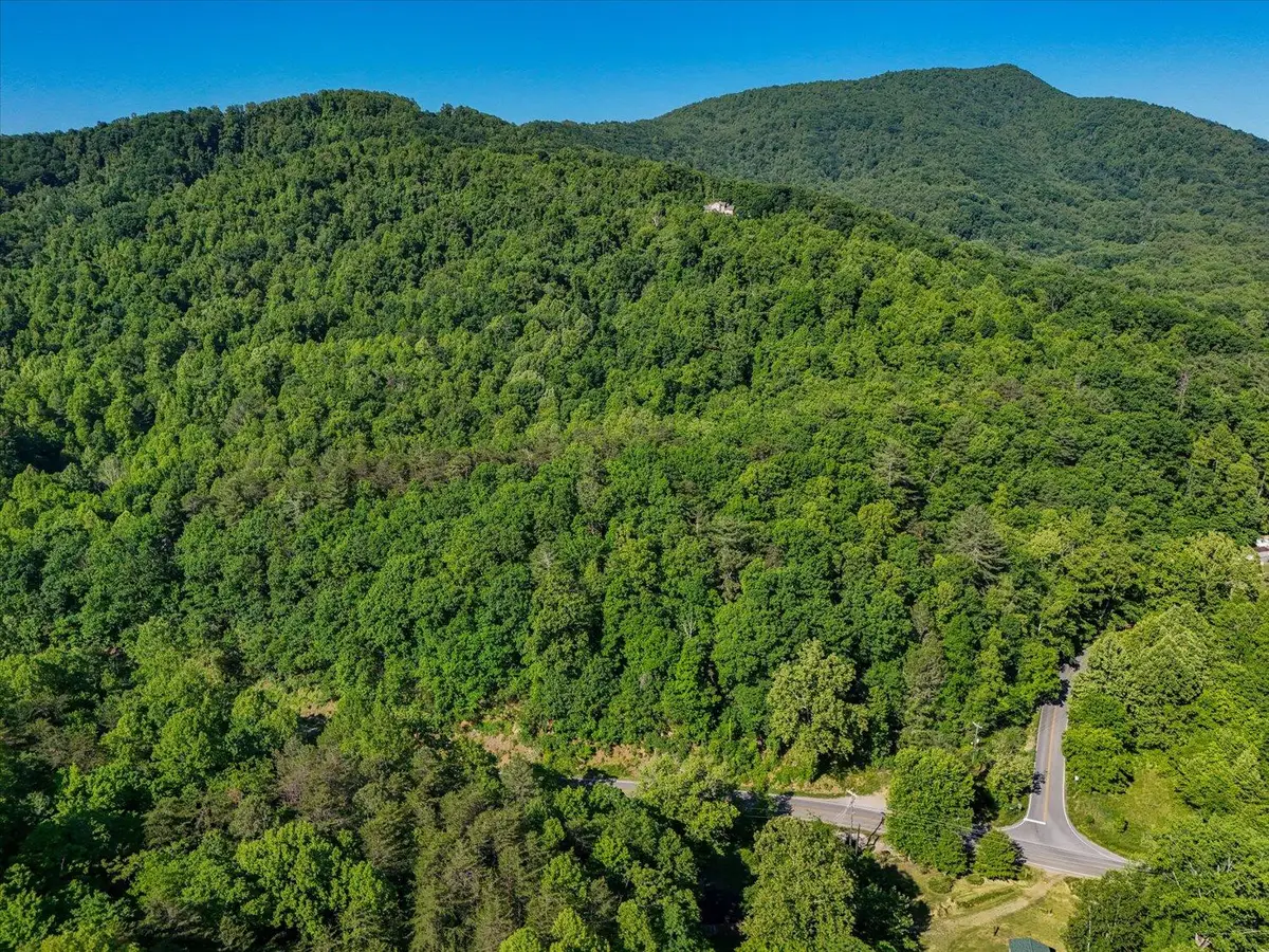 7301 Merriman Rd, Boones Mill, VA 24065 - #1