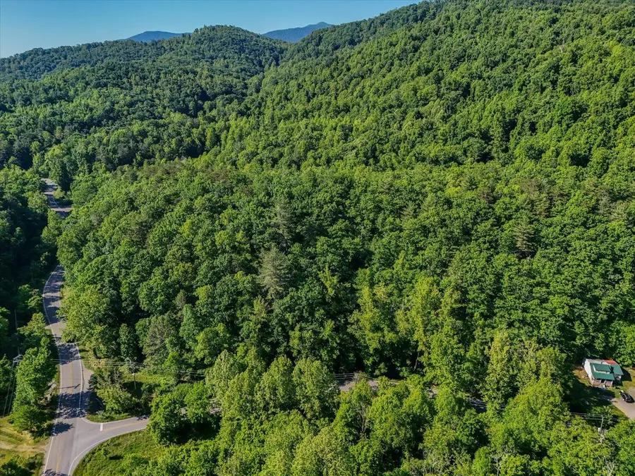 7301 Merriman Rd, Boones Mill, VA 24065 - #2