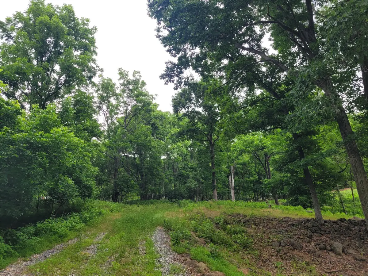 0 Murray Hollow Rd, Thaxton, VA 24174 - #1