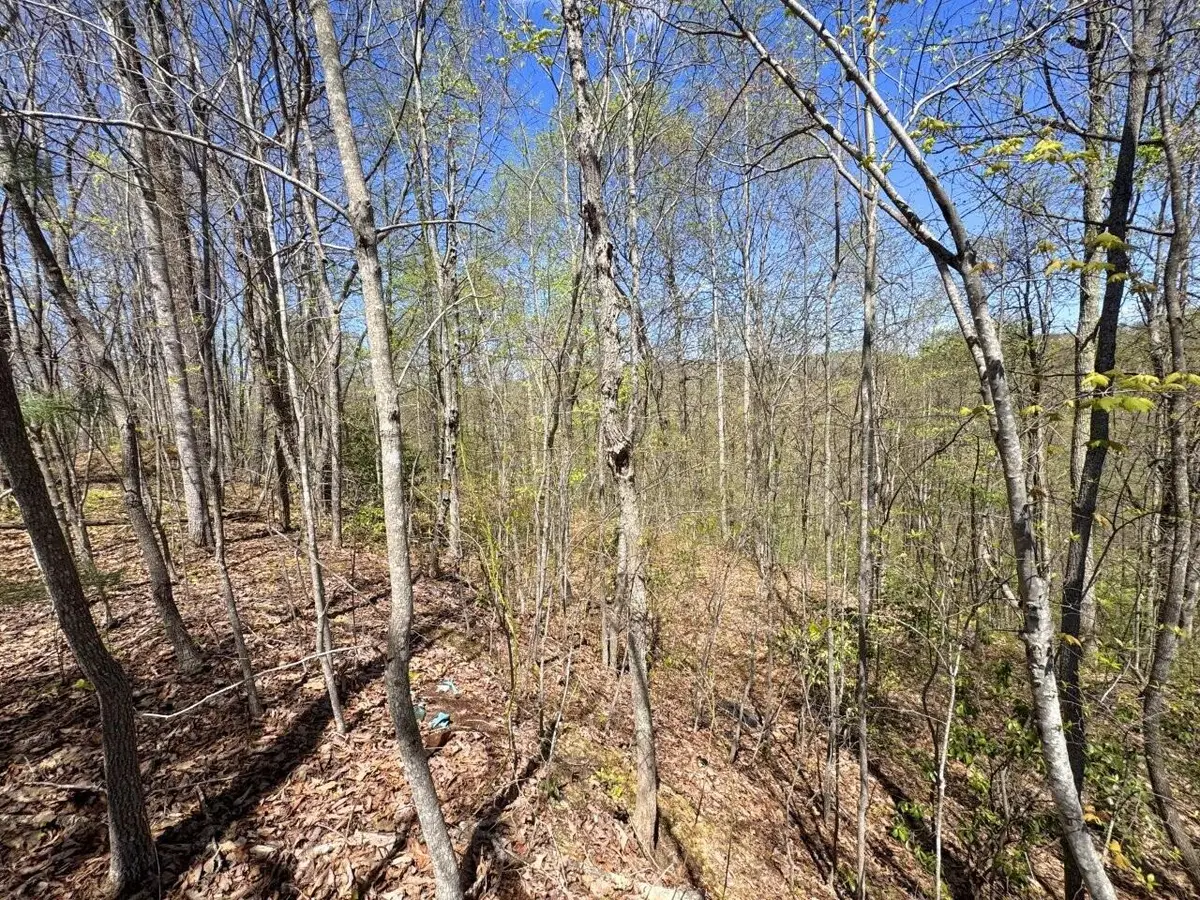 0 Maple Meadows Hoo Hoo Rd, Beckley, WV 25802 - #1