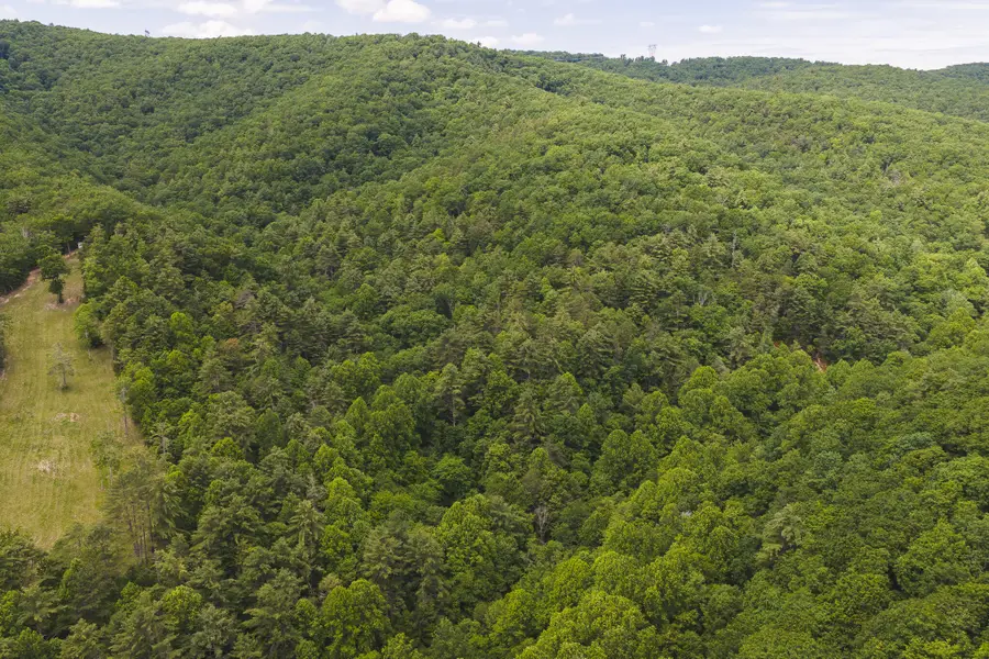 TBD Macks Mountain Rd, Indian Valley, VA 24105 - #3