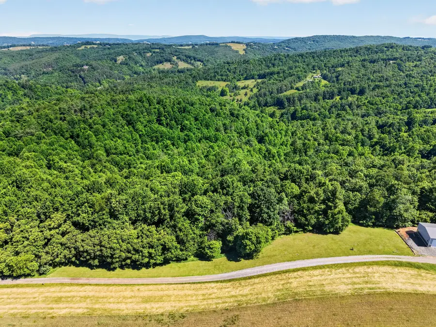 00 Thunderstruck Rd Ne, Floyd, VA 24091 - #2