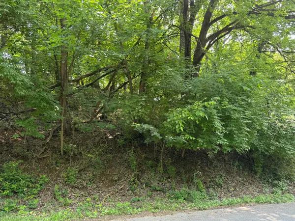0 Chestnut St, Vinton, VA 24179