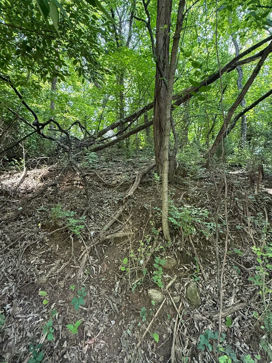 0 Chestnut St, Vinton, VA 24179 - #3