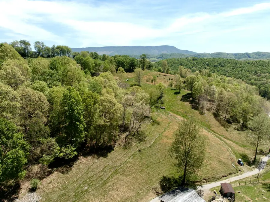453 Long Hollow Rd, Cleveland, VA 24225 - #2