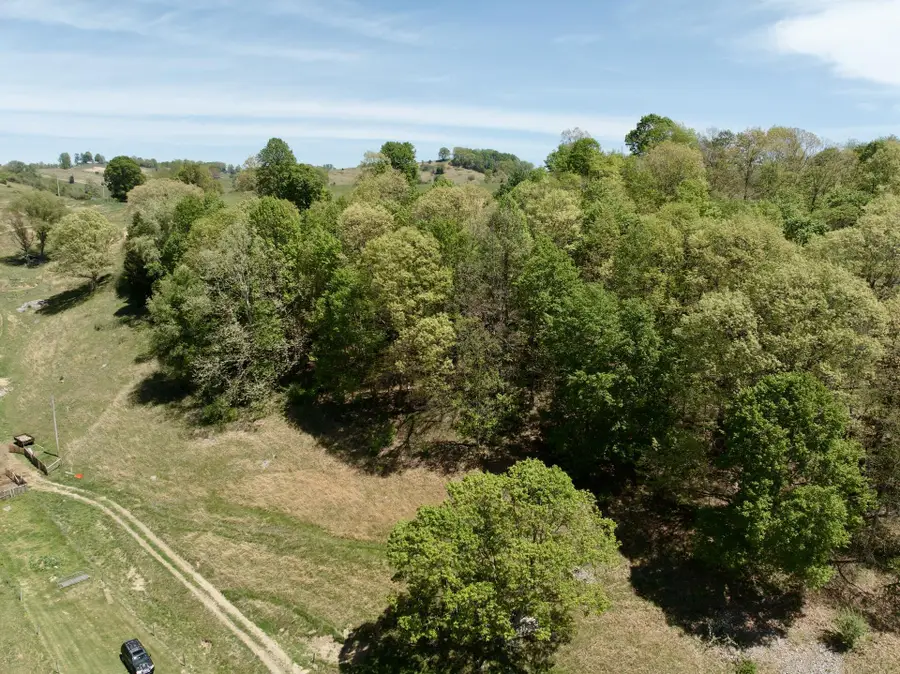 453 Long Hollow Rd, Cleveland, VA 24225 - #3