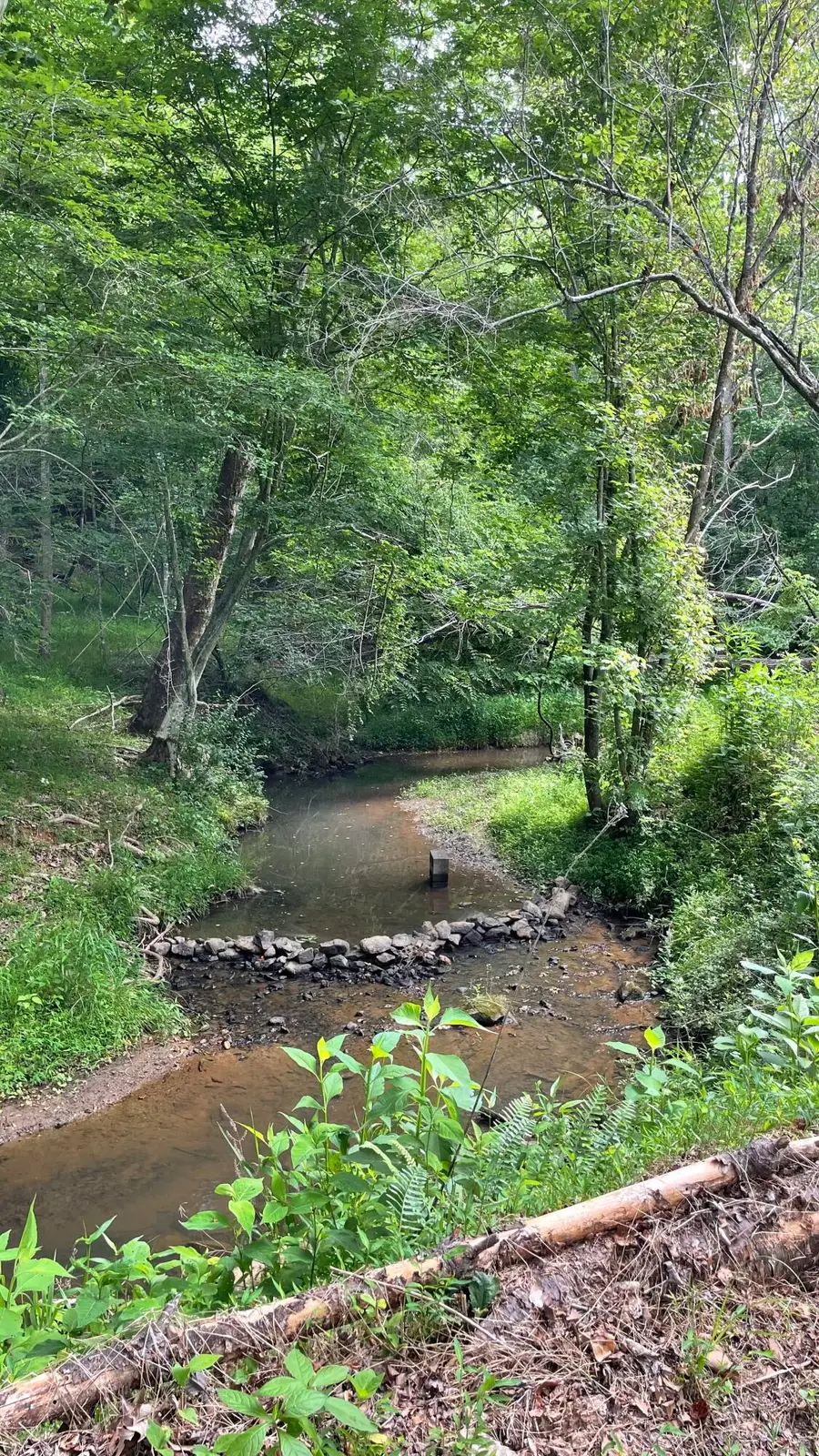 6200 Goodview Rd, Goodview, VA 24095 - #3