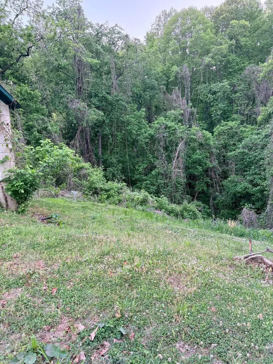 479 Trenthill Dr, Bassett, VA 24055 - #3