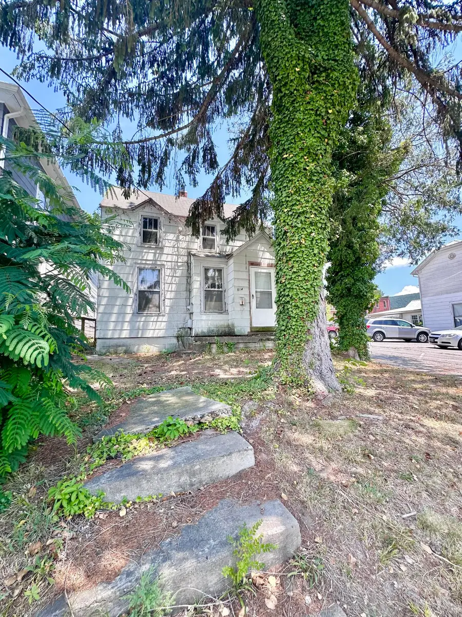 514 Rose Ave, Clifton Forge, VA 24422 - #2