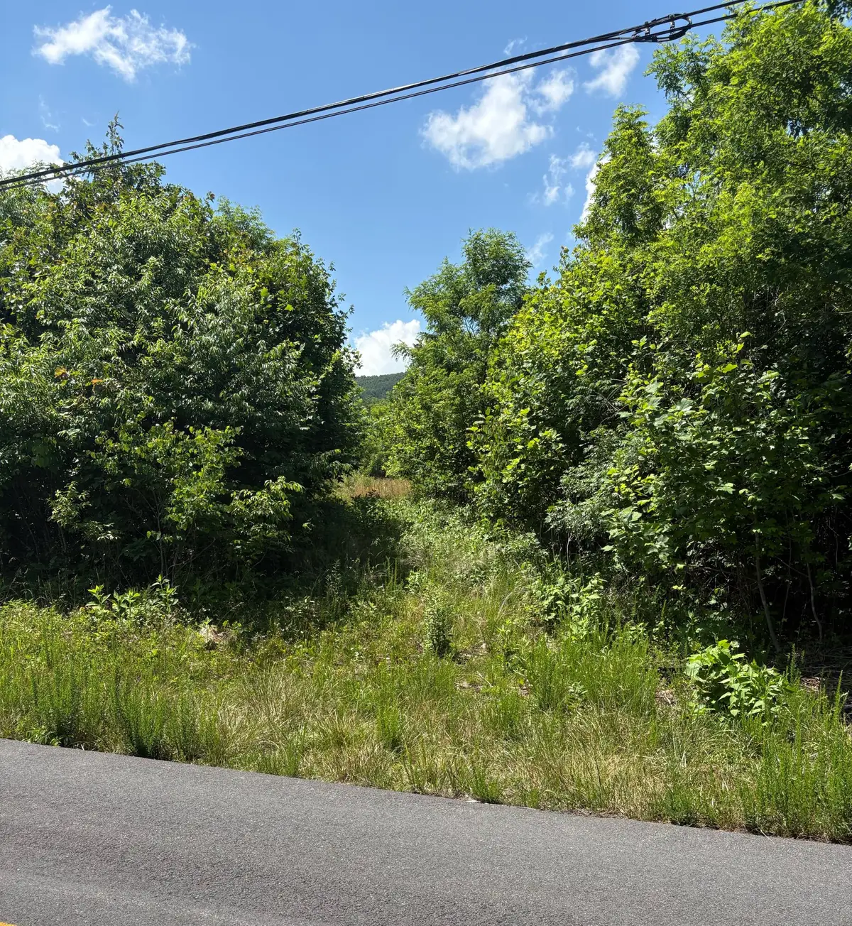 0 Craig Creek Rd, Eagle Rock, VA 24085 - #1