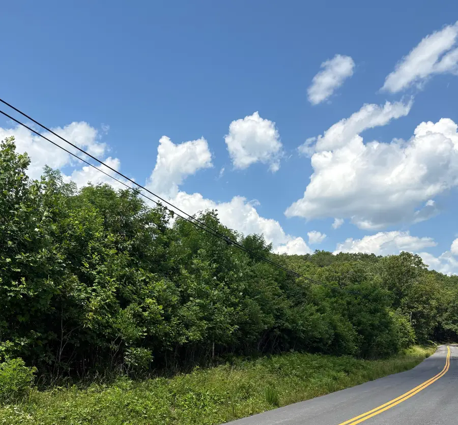 0 Craig Creek Rd, Eagle Rock, VA 24085 - #2