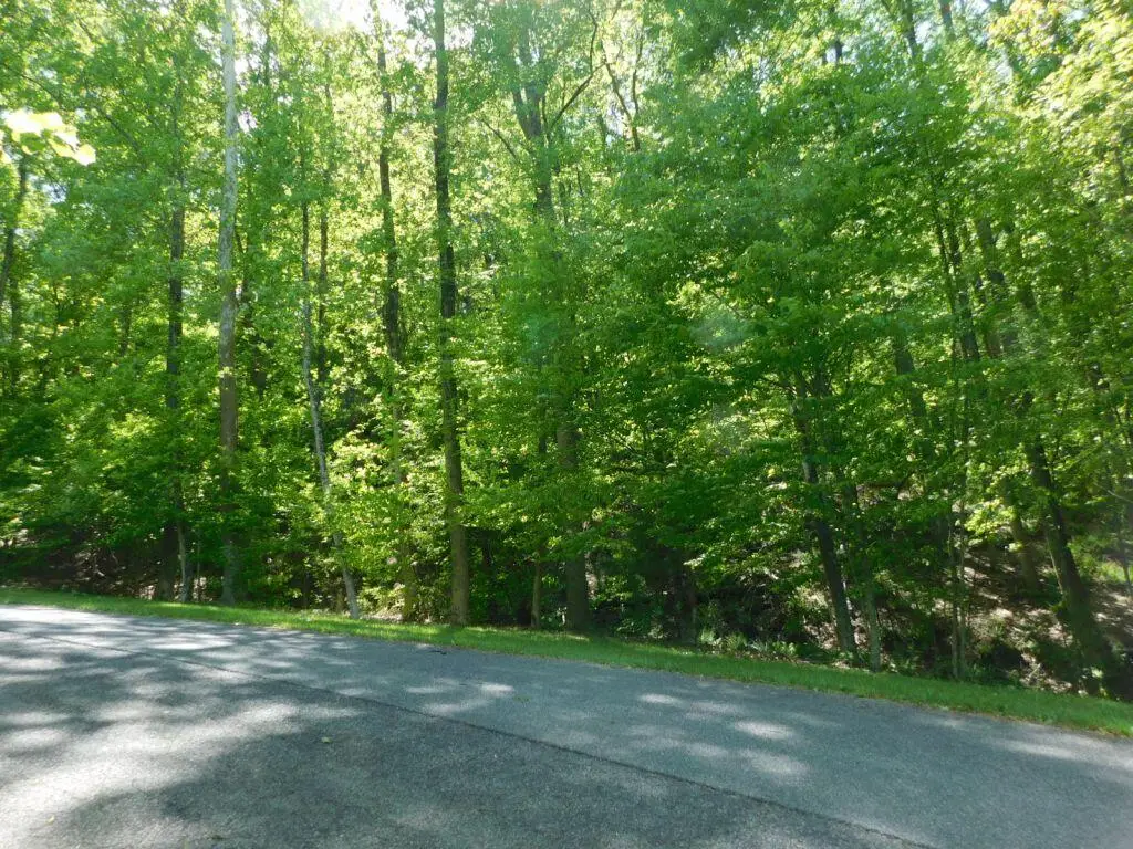 8321 Poplar Springs Ln, Roanoke, VA 24018 - #1