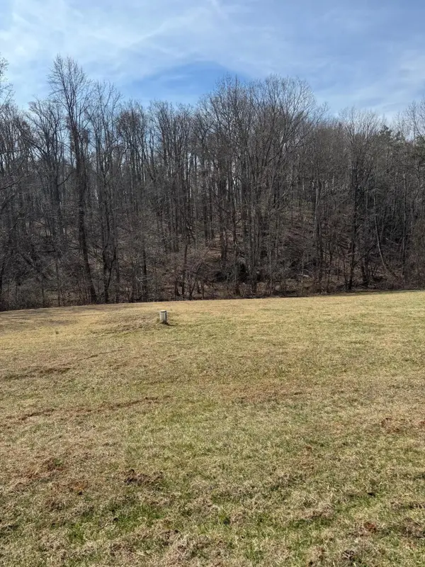 0 Foothills Rd, Callaway, VA 24067