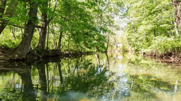 LOT 9 Rebel Ridge Dr, New Castle, VA 24127