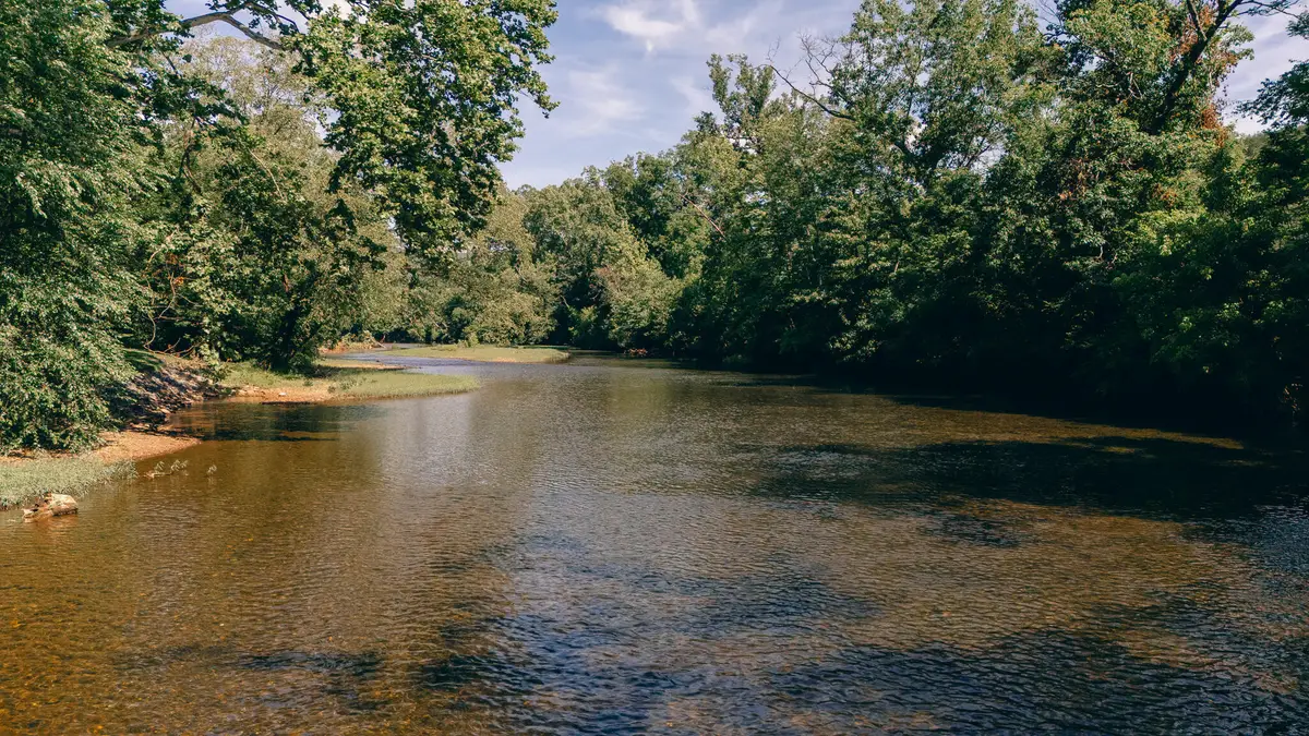 0 Ball Park Rd, Eagle Rock, VA 24085 - #1