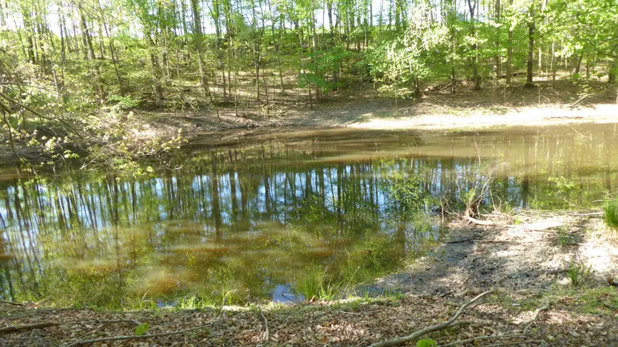 TRACT 8 Dusty Ln, Martinsville, VA 24112 - #3