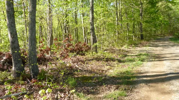 TRACT 9 Dusty Ln, Martinsville, VA 24112