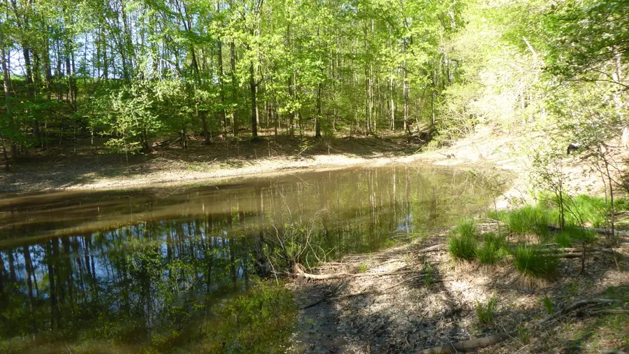 TRACT 9 Dusty Ln, Martinsville, VA 24112 - #2