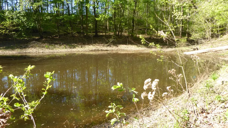 TRACT 9 Dusty Ln, Martinsville, VA 24112 - #3