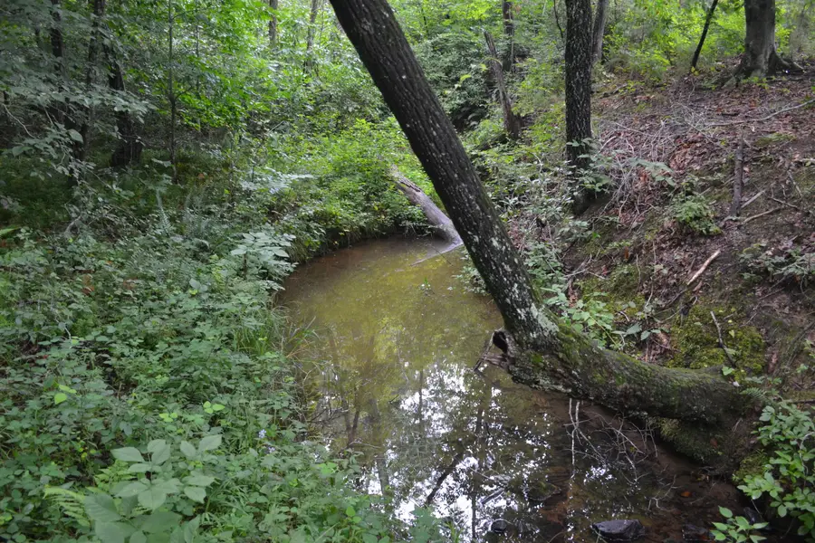 0 Paisley Rd, Gretna, VA 24557 - #3