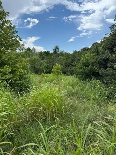 0 Moneta Rd, Bedford, VA 24523 - #1