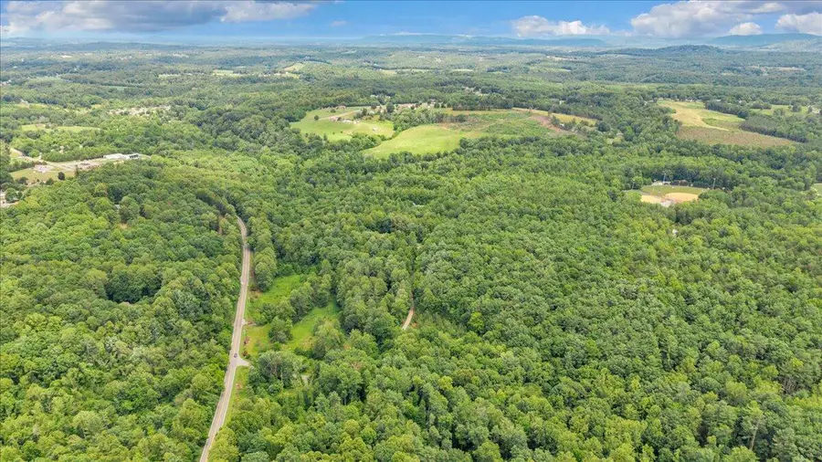 0 Pepper Rd Rd, Rocky Mount, VA 24151 - #2