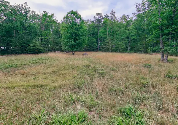 0 Johns Creek Mountain Rd, New Castle, VA 24127
